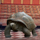 Illustration for article titled The Royal Tortoise Who’s Been Carrying Brides To The Altar For The Past 400 Years Is Taking, Like, Half An Hour To Get Meghan Markle Down The Aisle